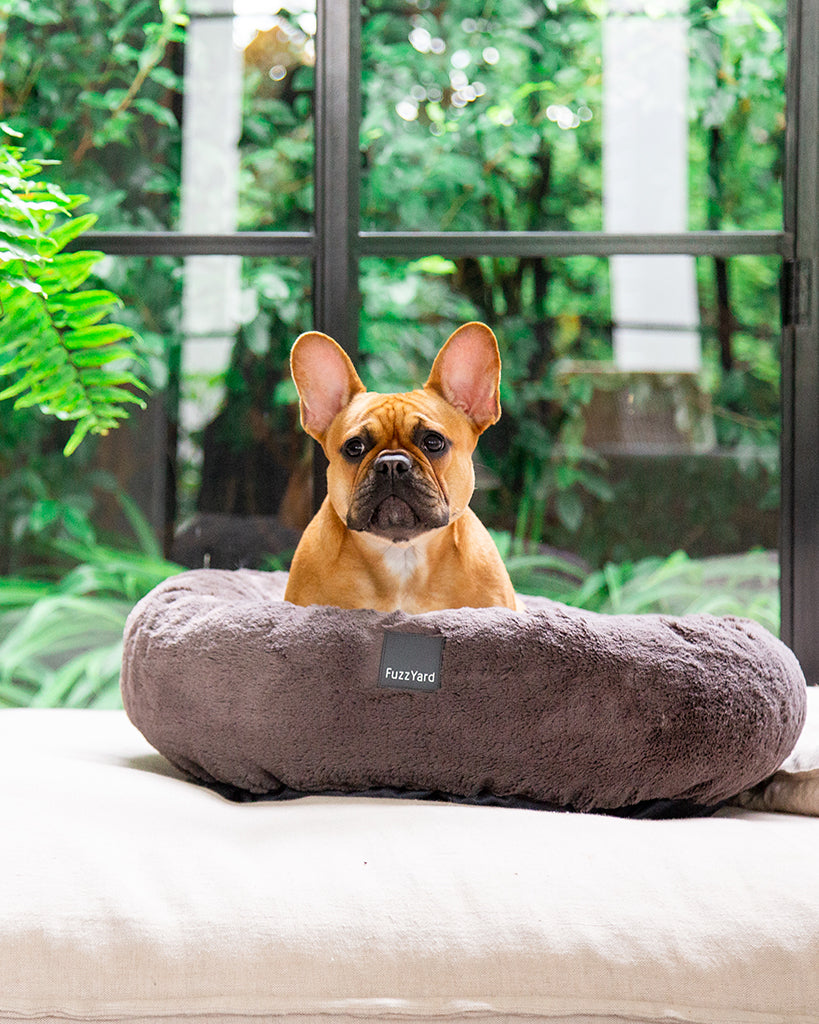 Cama antiestrés Dreameazzzy para perros Truffle